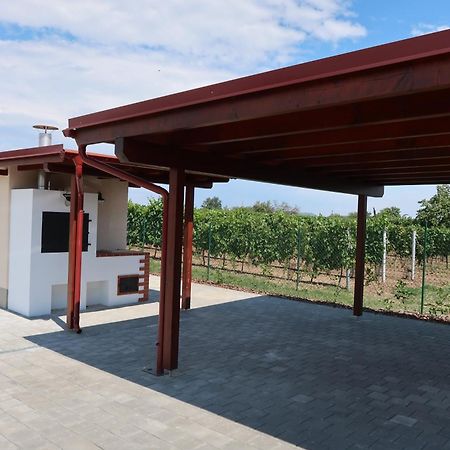 Apartman Matyas Drnholec Zewnętrze zdjęcie