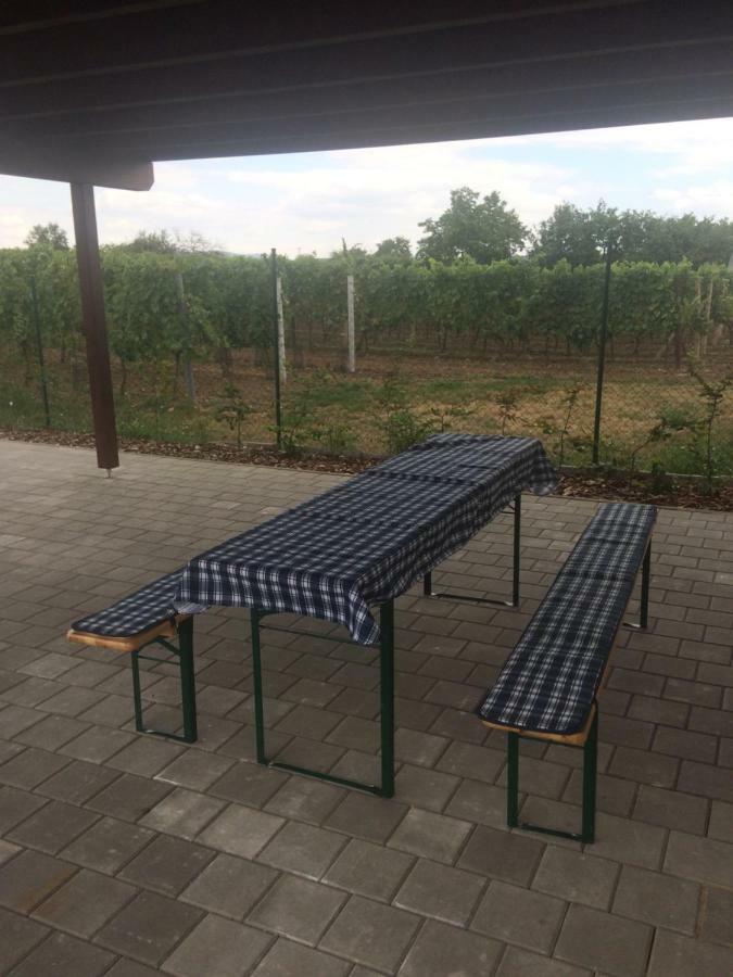 Apartman Matyas Drnholec Zewnętrze zdjęcie